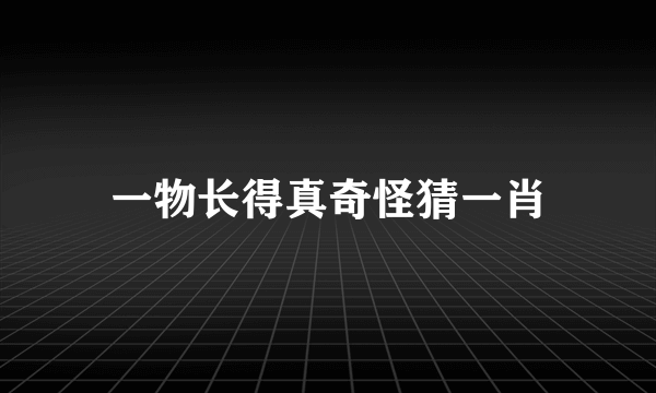 一物长得真奇怪猜一肖