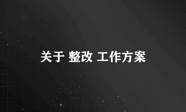 关于 整改 工作方案