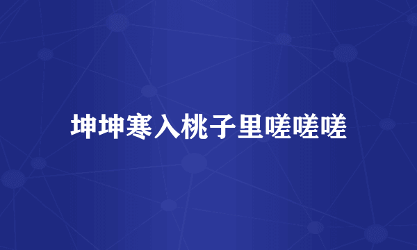坤坤寒入桃子里嗟嗟嗟