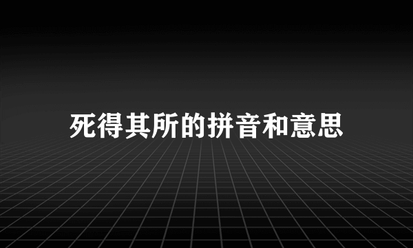 死得其所的拼音和意思