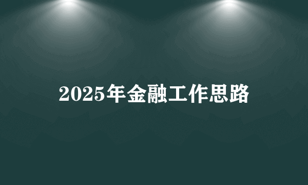 2025年金融工作思路