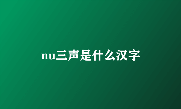 nu三声是什么汉字