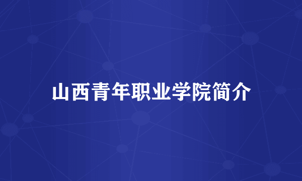 山西青年职业学院简介