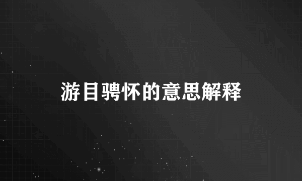 游目骋怀的意思解释