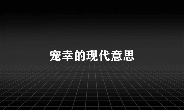 宠幸的现代意思