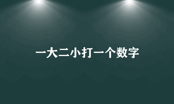 一大二小打一个数字