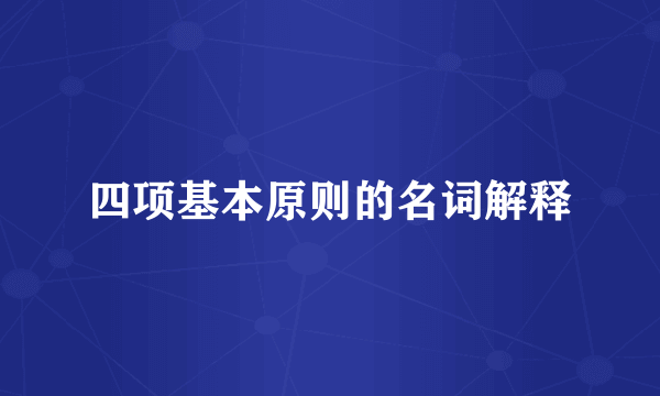 四项基本原则的名词解释