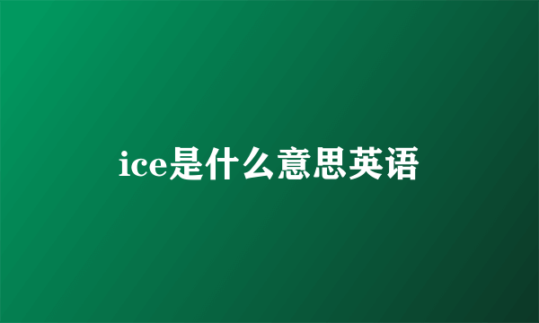 ice是什么意思英语