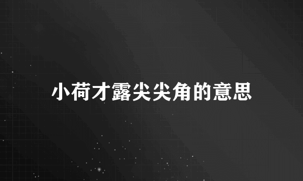 小荷才露尖尖角的意思