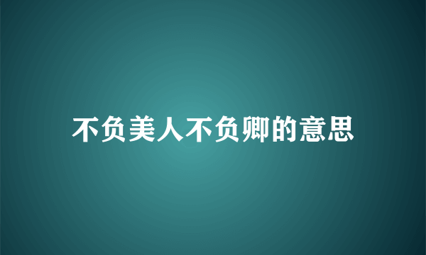 不负美人不负卿的意思