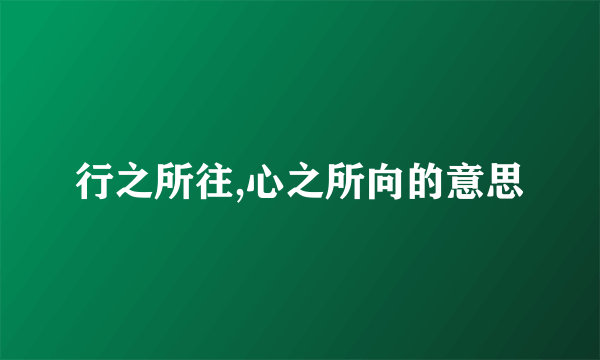 行之所往,心之所向的意思