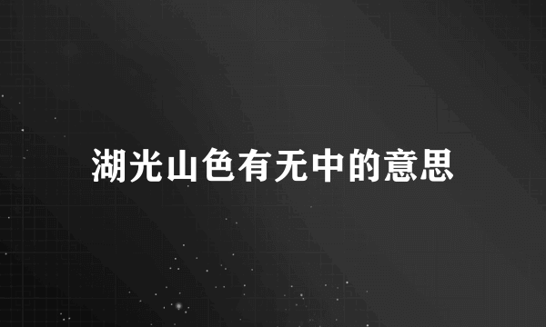湖光山色有无中的意思