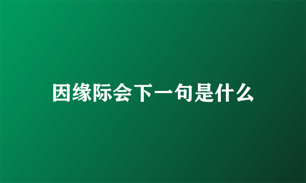 因缘际会下一句是什么