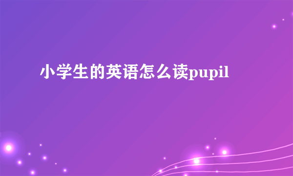 小学生的英语怎么读pupil