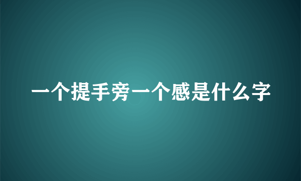 一个提手旁一个感是什么字