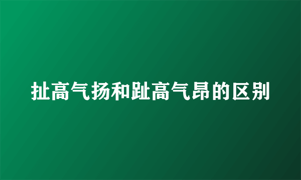 扯高气扬和趾高气昂的区别