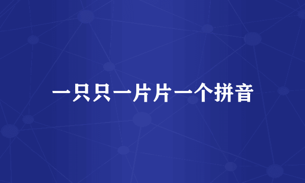 一只只一片片一个拼音