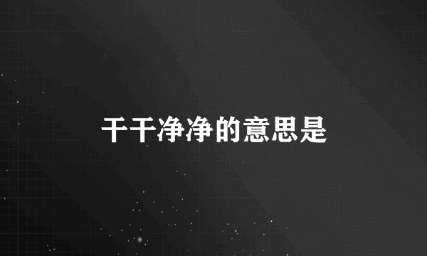 干干净净的意思是