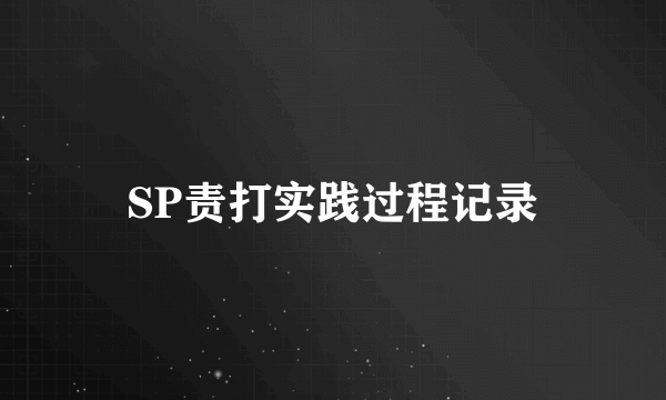 SP责打实践过程记录