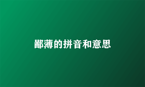 鄙薄的拼音和意思