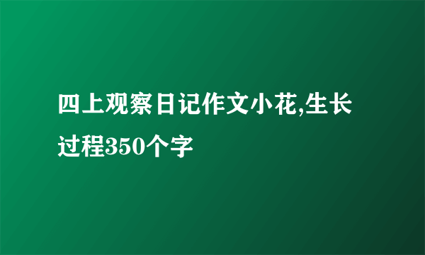 四上观察日记作文小花,生长过程350个字
