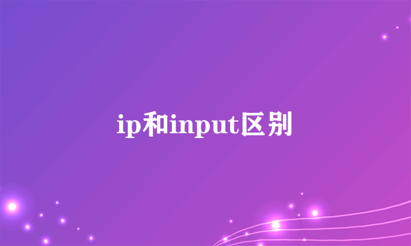 ip和input区别