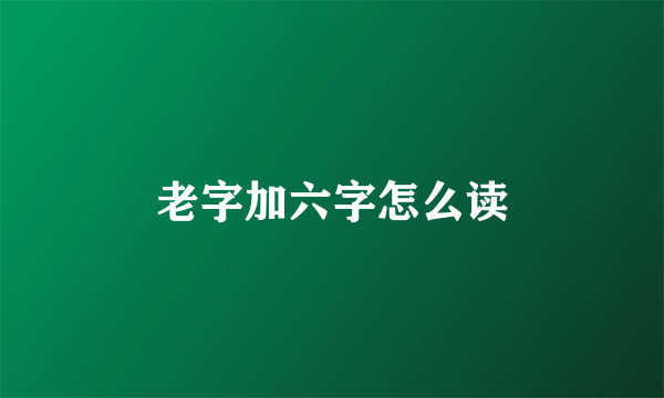 老字加六字怎么读