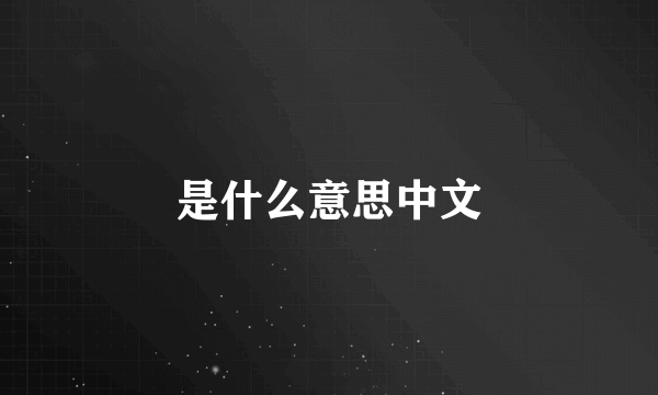 是什么意思中文