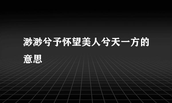 渺渺兮予怀望美人兮天一方的意思