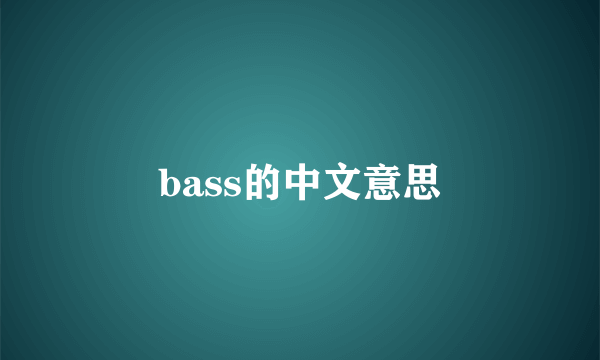 bass的中文意思
