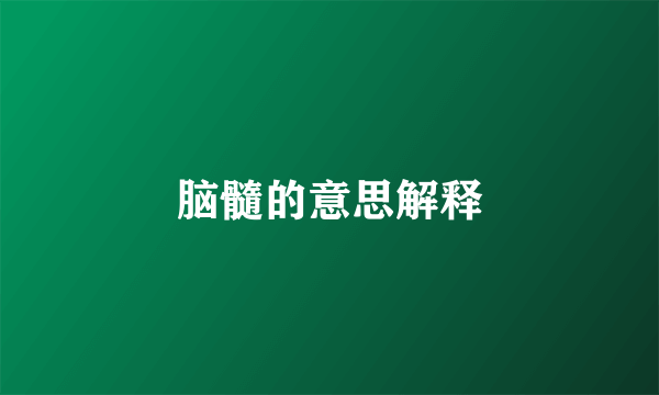 脑髓的意思解释