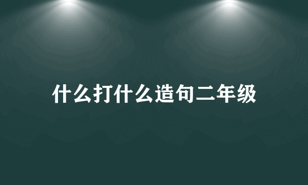 什么打什么造句二年级
