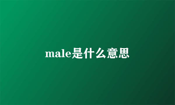 male是什么意思