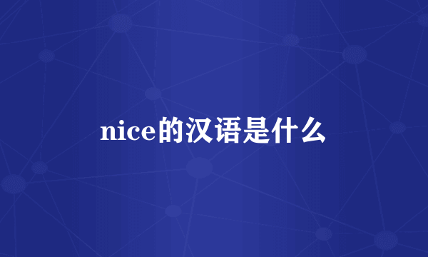 nice的汉语是什么