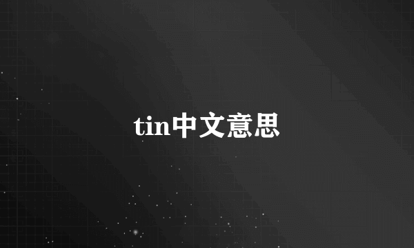tin中文意思