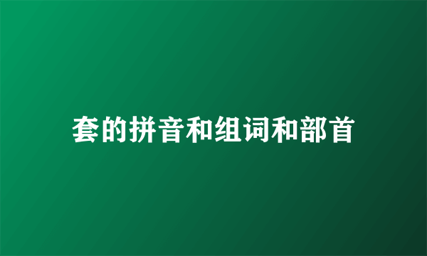 套的拼音和组词和部首