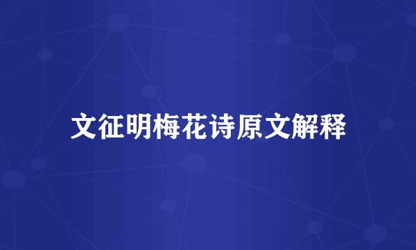 文征明梅花诗原文解释