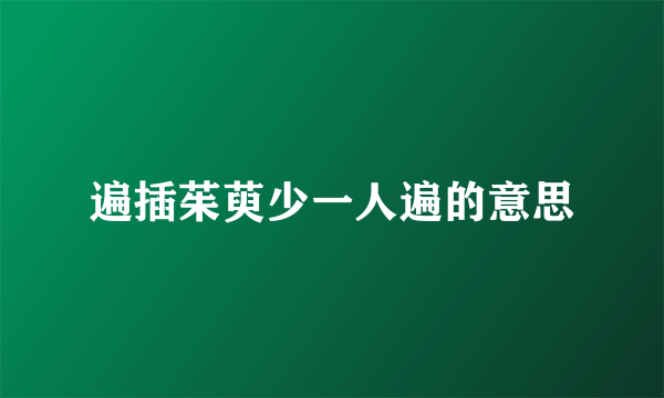 遍插茱萸少一人遍的意思