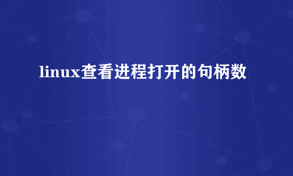 linux查看进程打开的句柄数