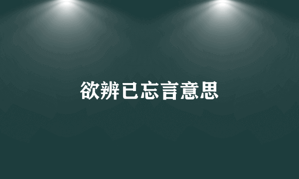 欲辨已忘言意思