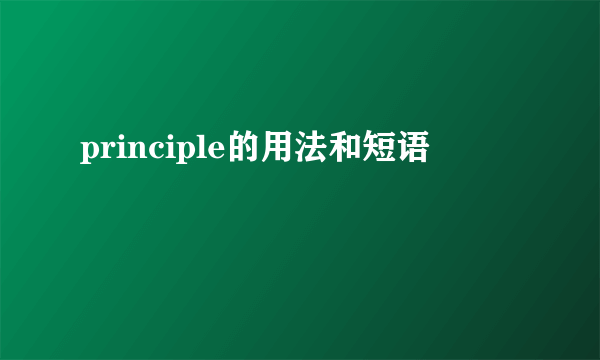 principle的用法和短语
