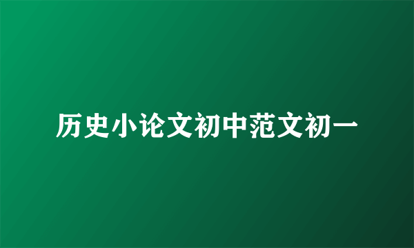 历史小论文初中范文初一