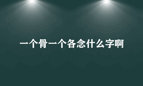 一个骨一个各念什么字啊