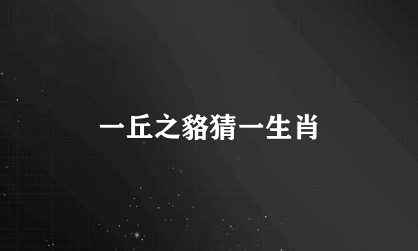 一丘之貉猜一生肖