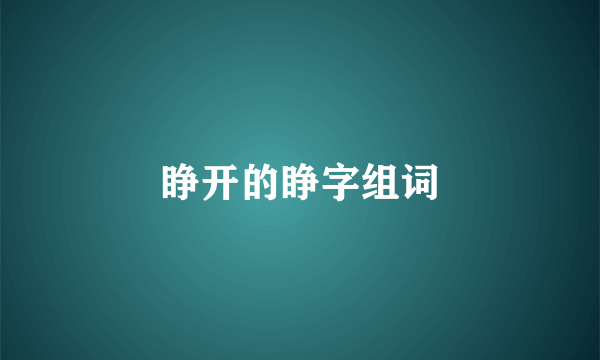 睁开的睁字组词