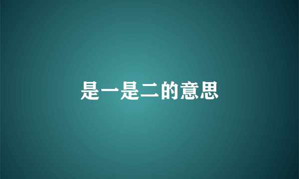 是一是二的意思
