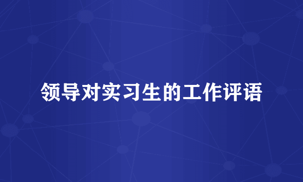 领导对实习生的工作评语