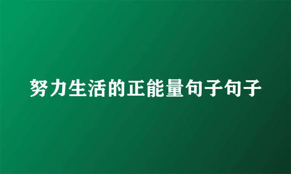 努力生活的正能量句子句子