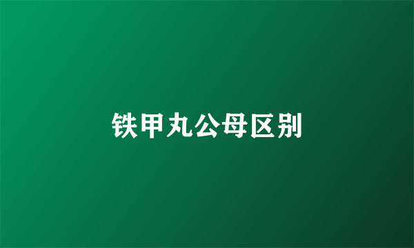 铁甲丸公母区别