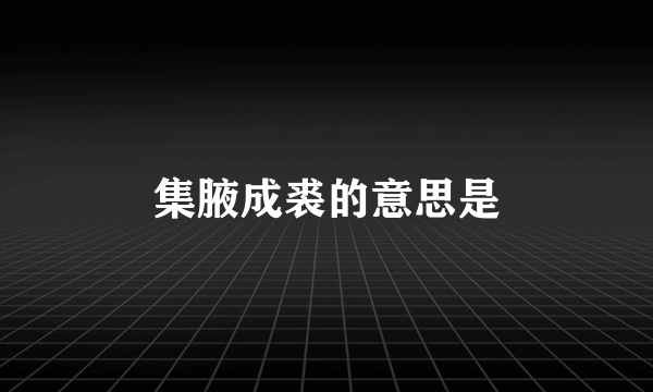 集腋成裘的意思是